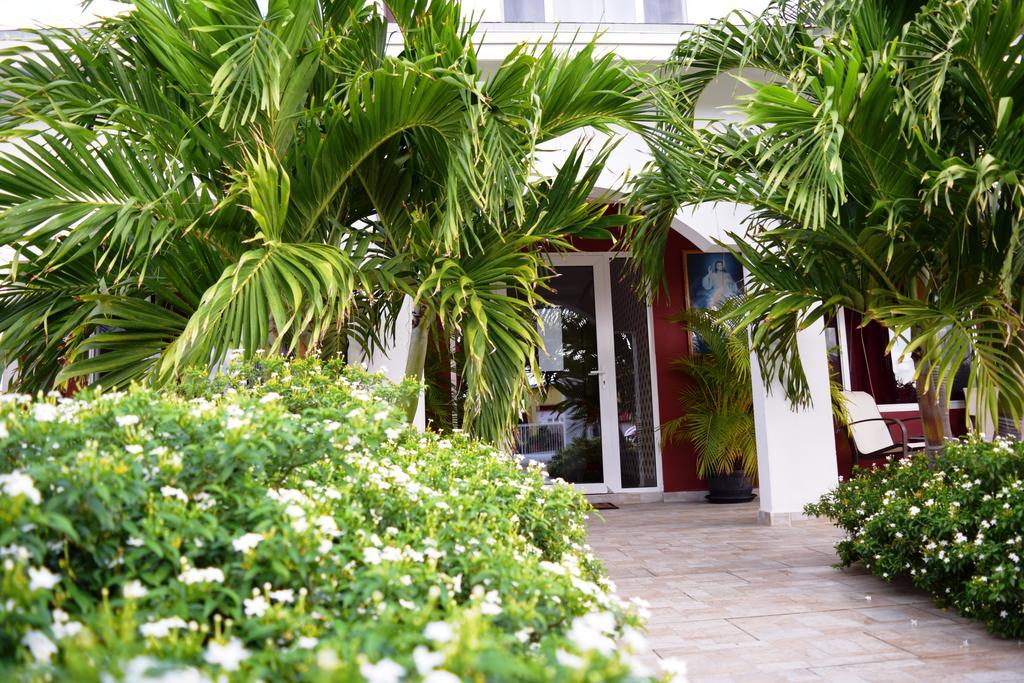 Ladybugs Apartments Palm Beach Exteriér fotografie